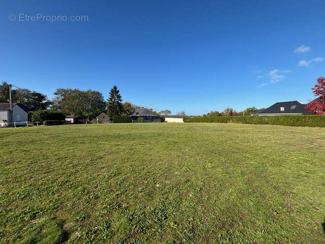 À vendre en exclusivité   Magnifique terrain constructible de 532 m2 aux portes d'Angers - photo 3