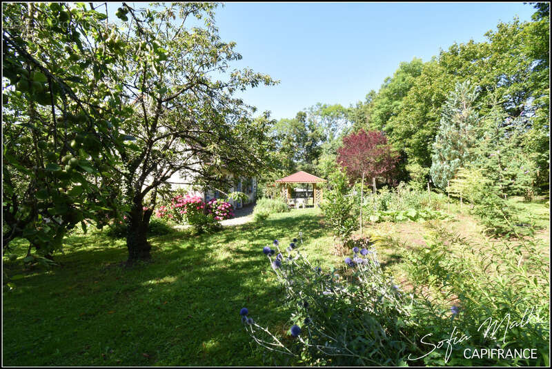 Maison à CHASSIGNOLLES