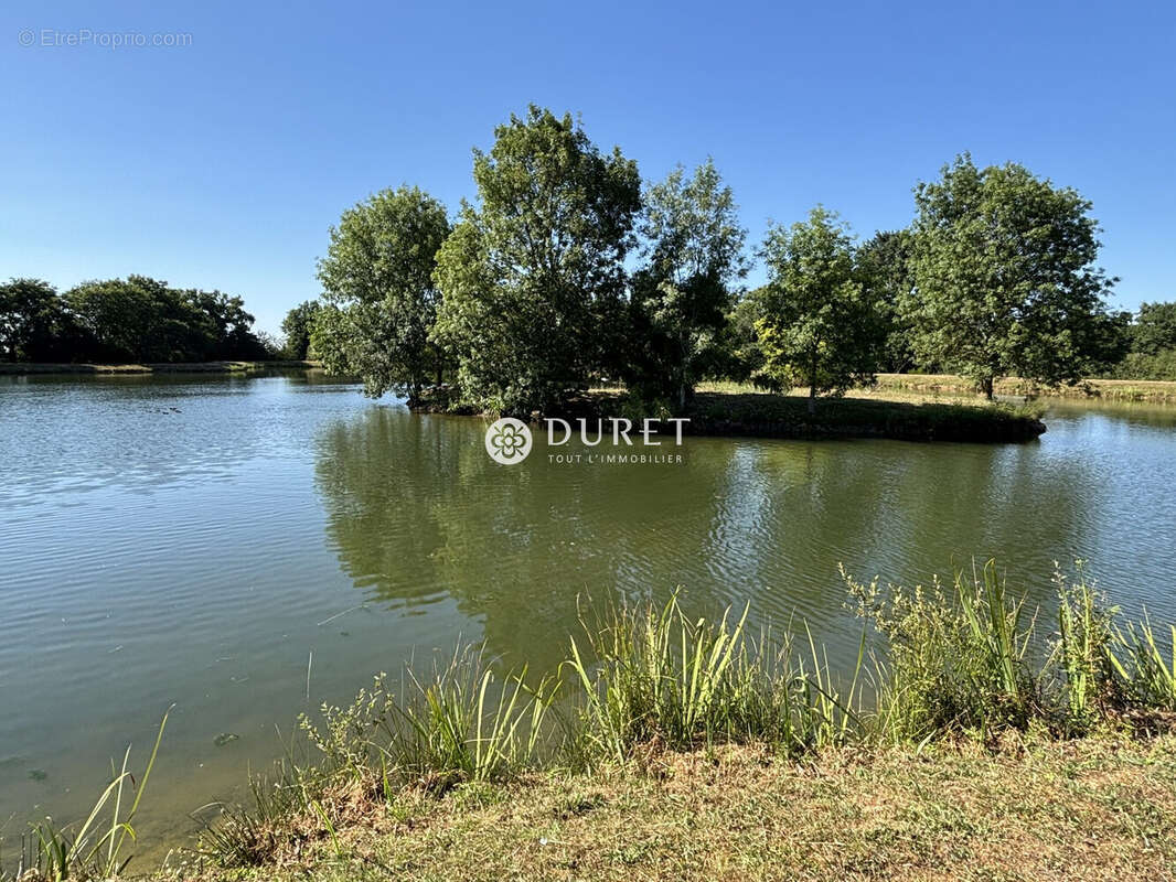 Terrain 44458 m² à Getigne  - photo 8