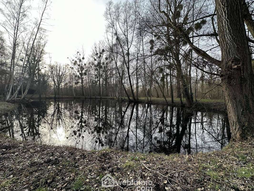 Vous disposez d'un étang avec une profondeur d'1m60 - Terrain à PRESLES-ET-THIERNY