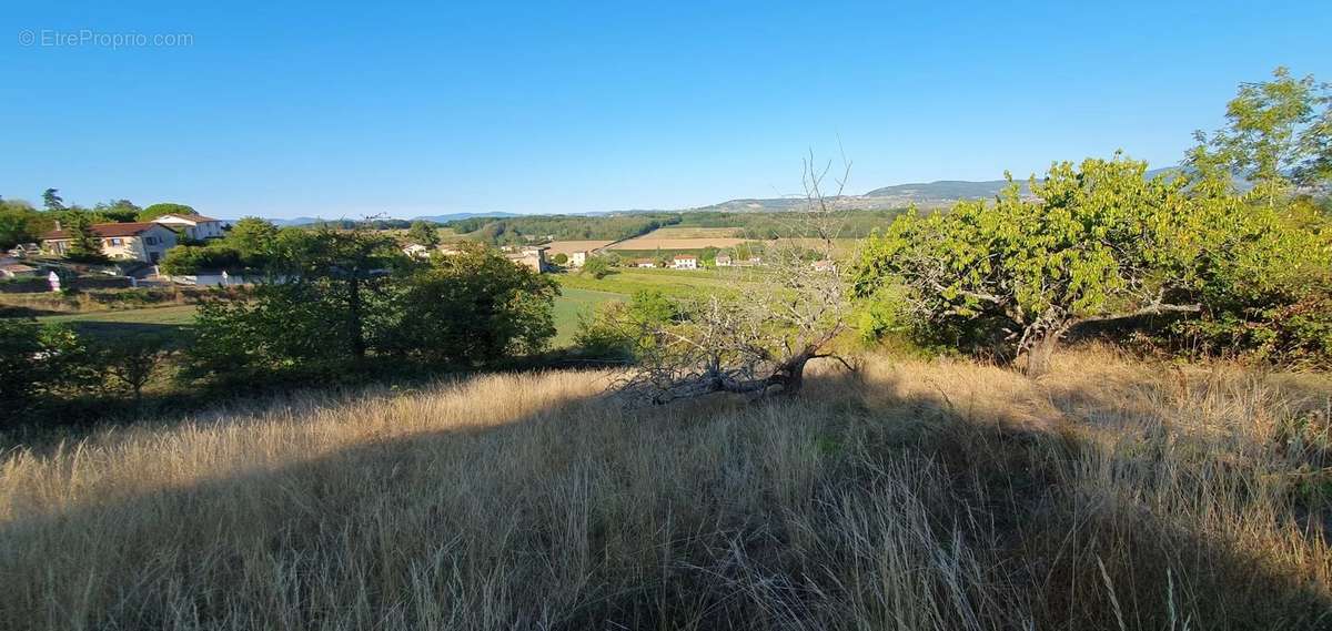 Terrain à LACHASSAGNE