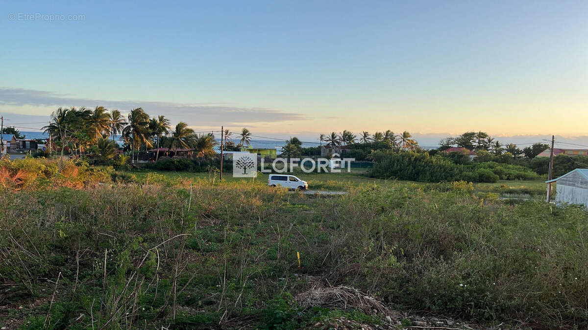 A La Désirade - Un terrain plat de 1240 m²  Une véritable pépite - photo 5