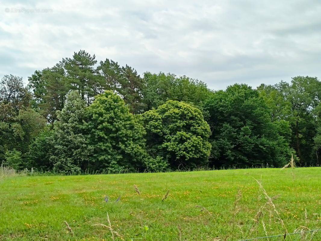 Terrain à SIMEYROLS