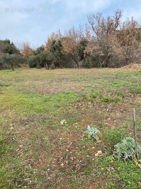 Terrain à SALERNES