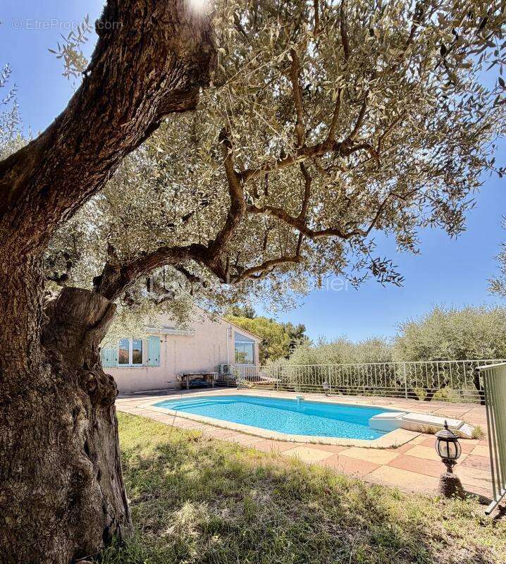 Maison à TOURTOUR
