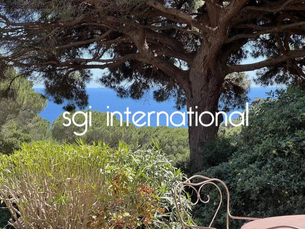 Maison à RAMATUELLE