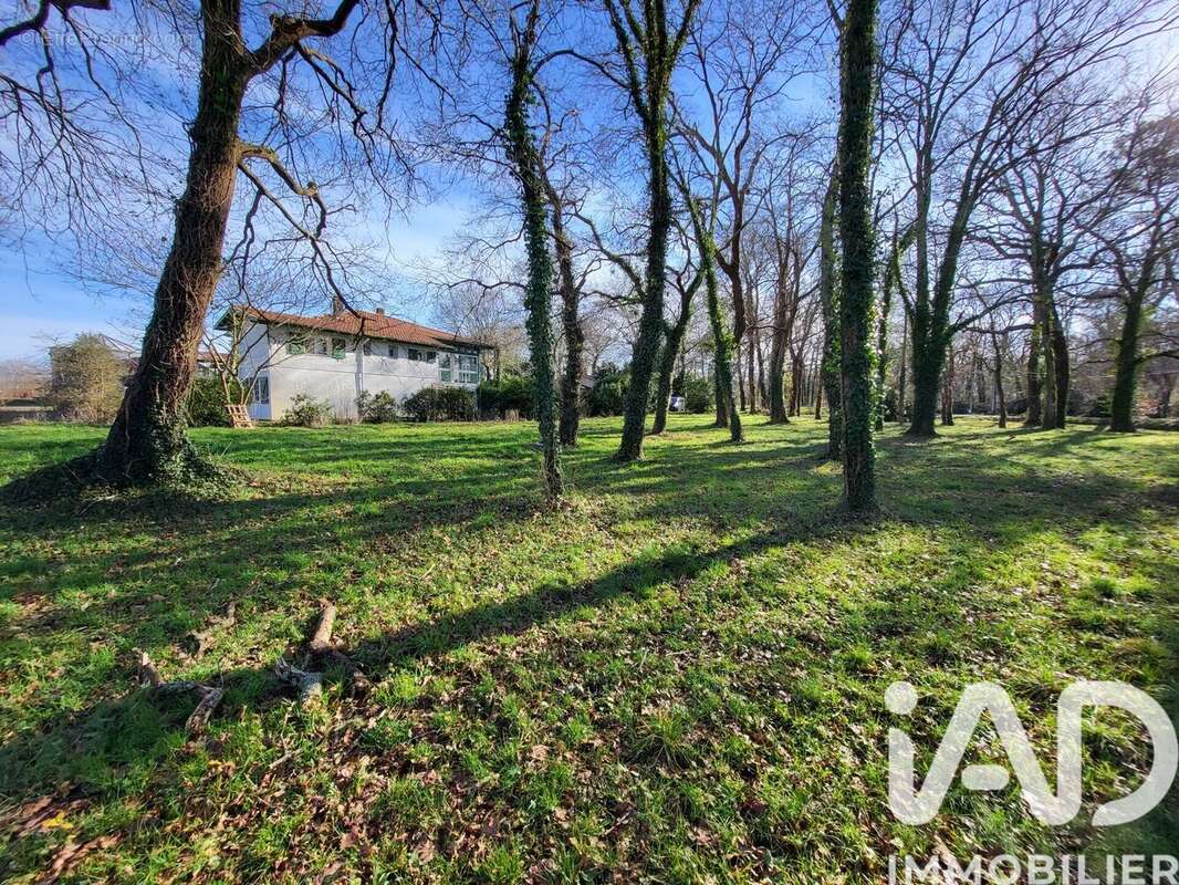 Photo 4 - Maison à SAUBRIGUES