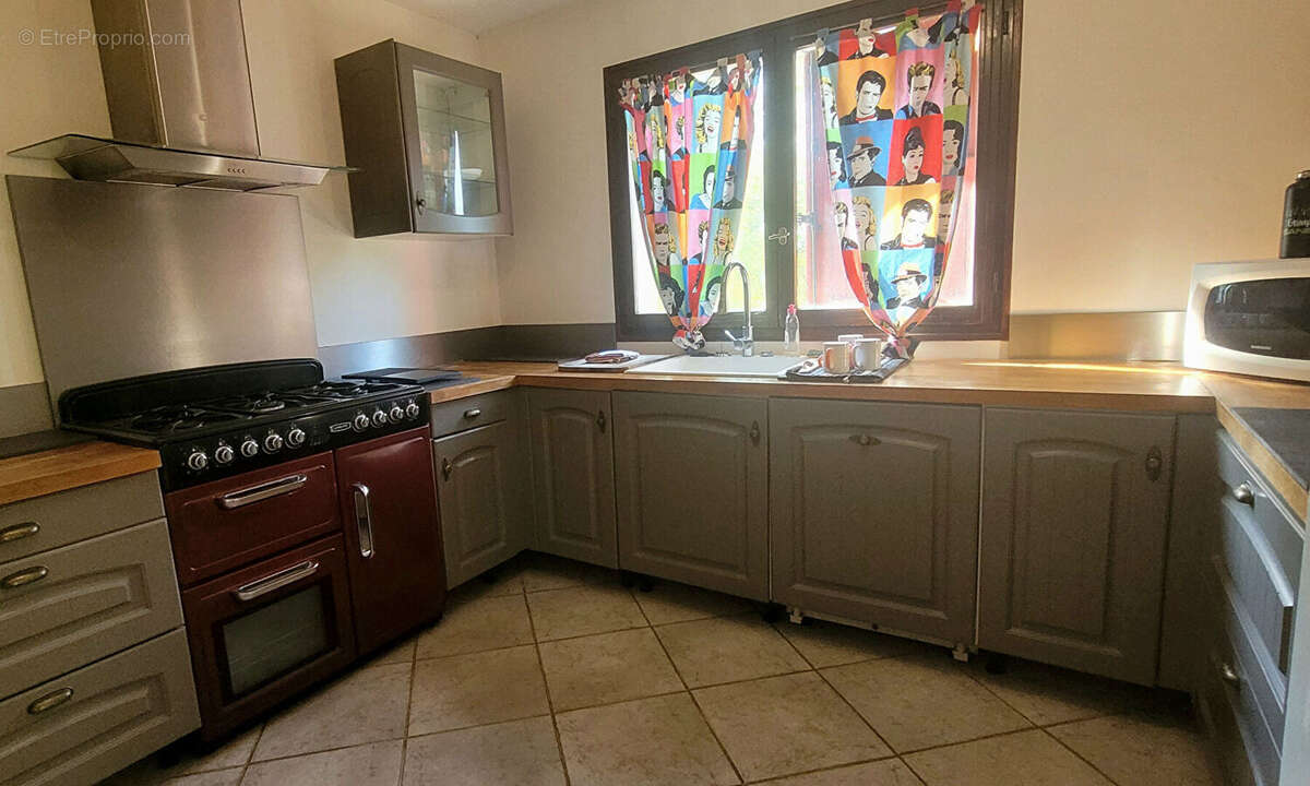 Maison 317m² à la bâtie-montgascon - photo 12
