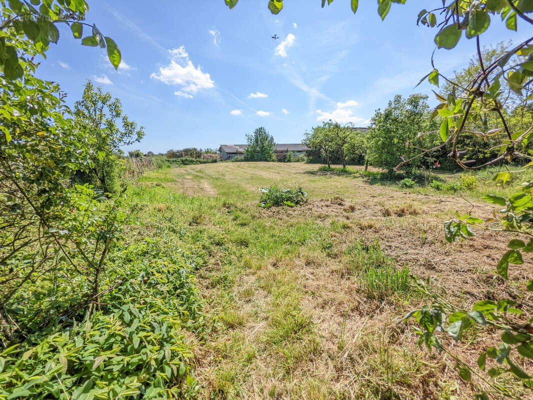 Un Manoir en Brocéliande à acheter avec CHT Immobilier - photo 46