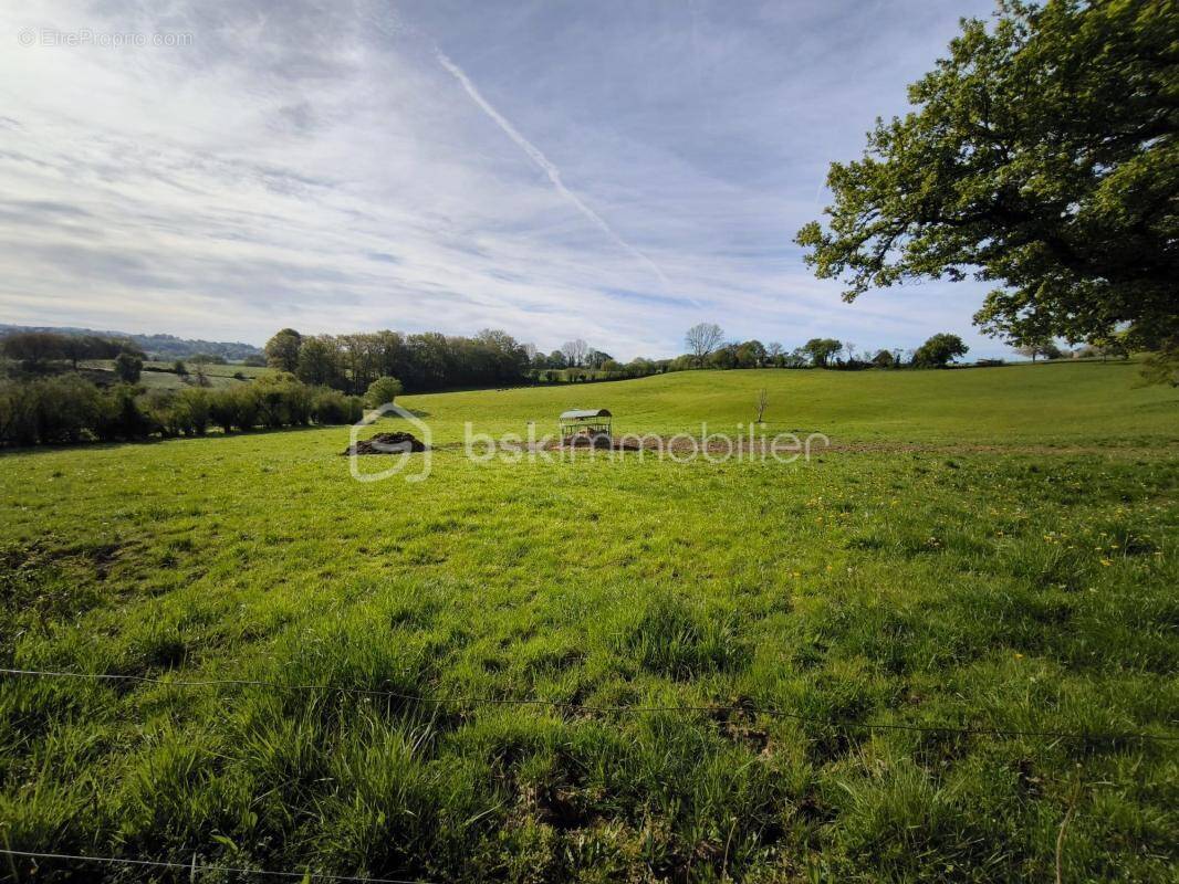 Terrain à SAINT-MEARD