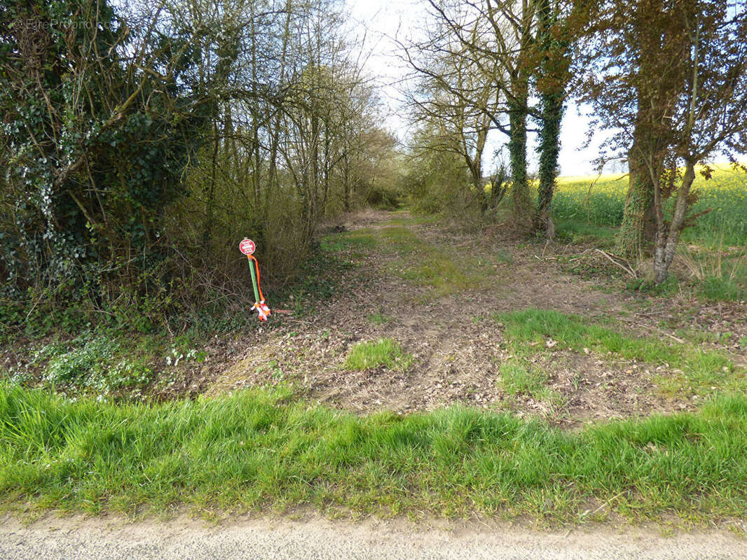 Terrain à SAINT-TRIVIER-DE-COURTES