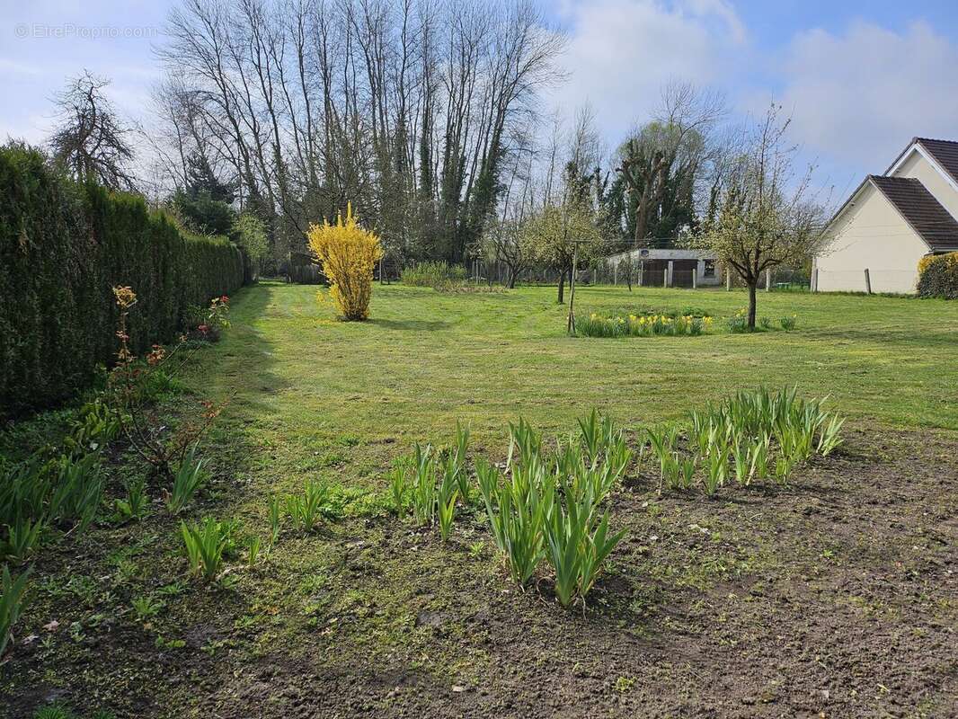 Terrain à CARLEPONT