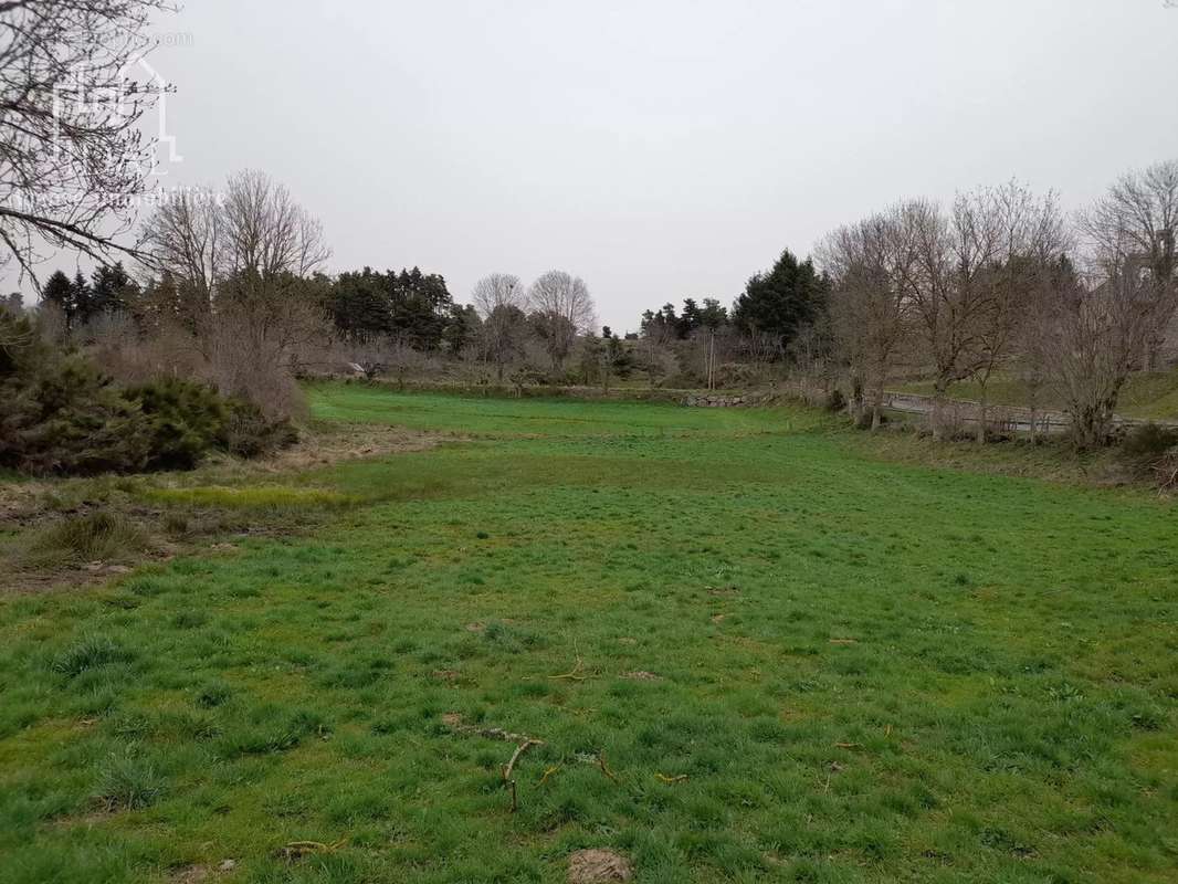 Terrain à LES LAUBIES