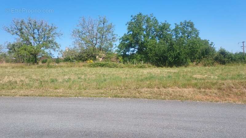 Terrain à vendre de 979,00 m² MASCLAT (46) - photo 3