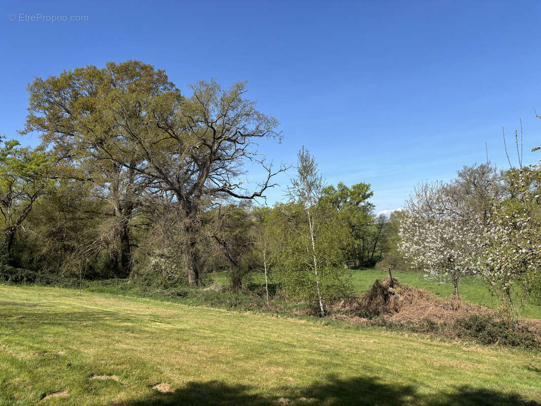 Maison à SAINT-MAUR