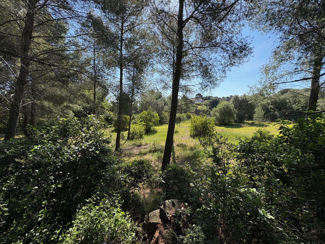 Terrain à OLLIOULES