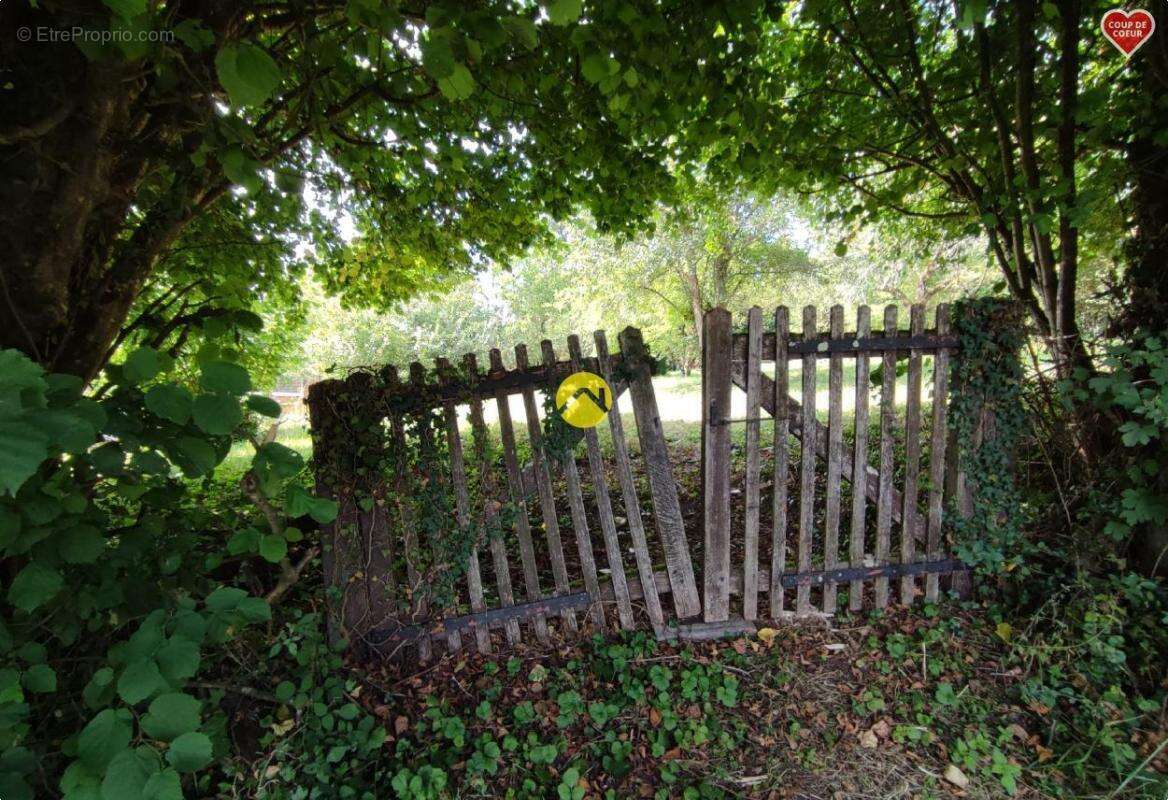 Terrain à VAILLY-SUR-SAULDRE