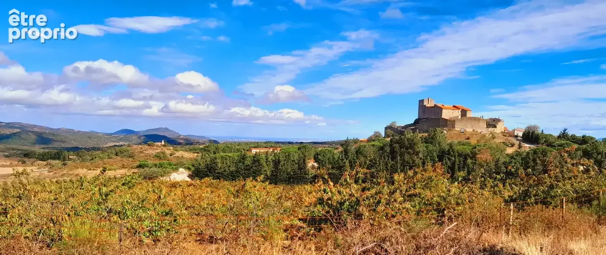 Terrain à MONTALBA-LE-CHATEAU