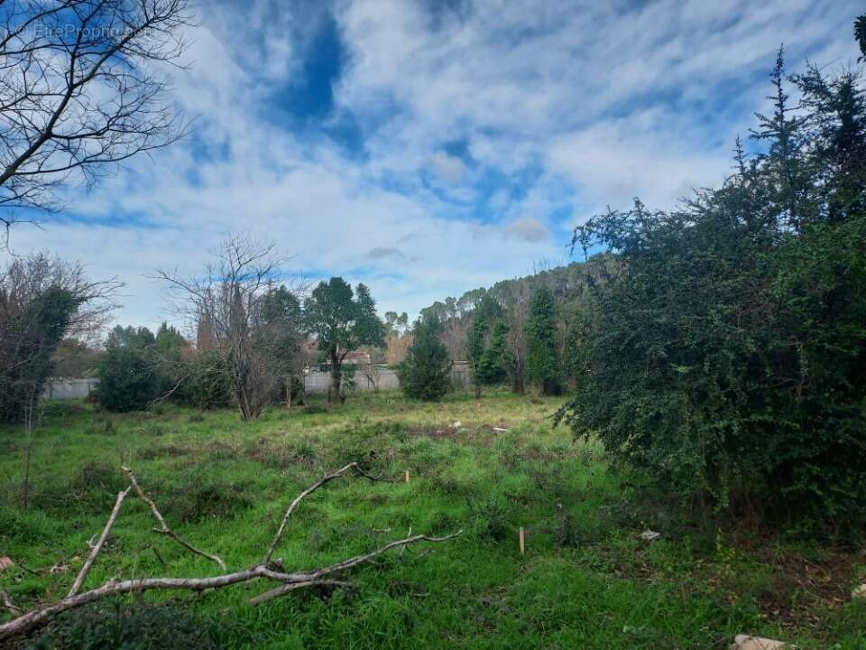 Terrain à CARNOULES