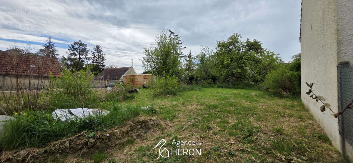 Photo 4 - Terrain à CHAMPIGNY