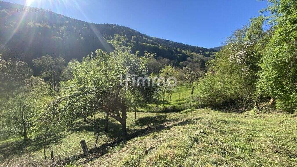 Terrain constructible 13 ares - photo 3