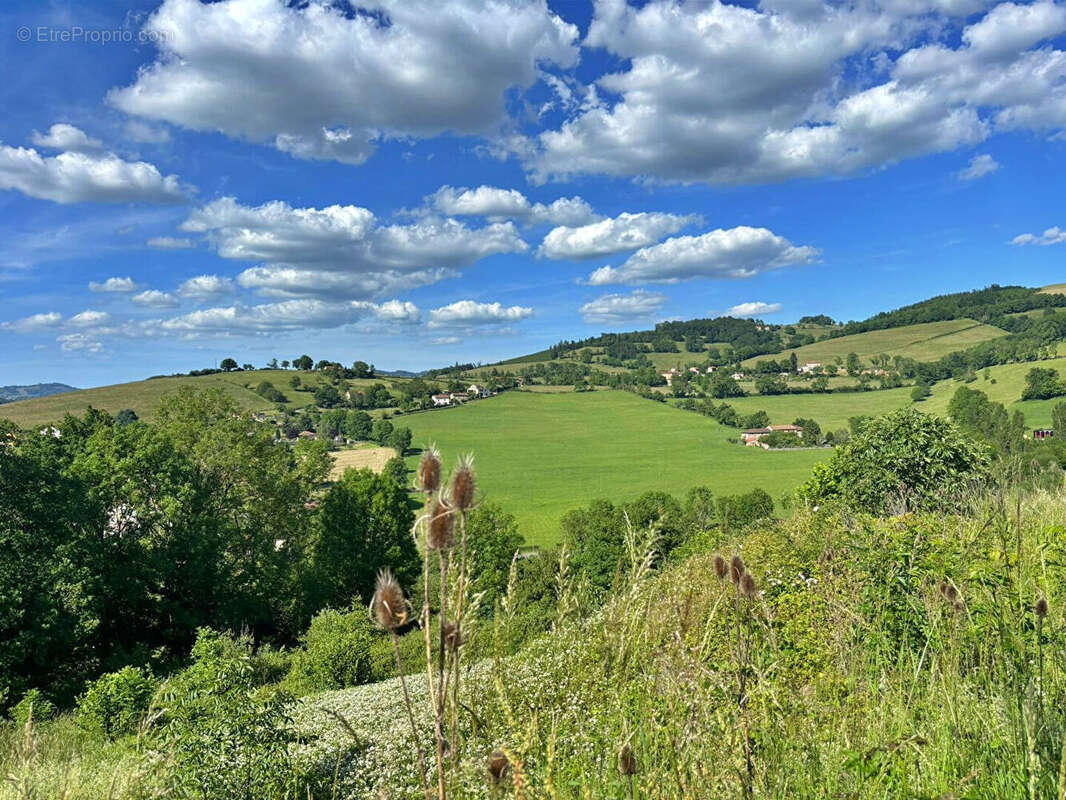 Terrain à THIZY