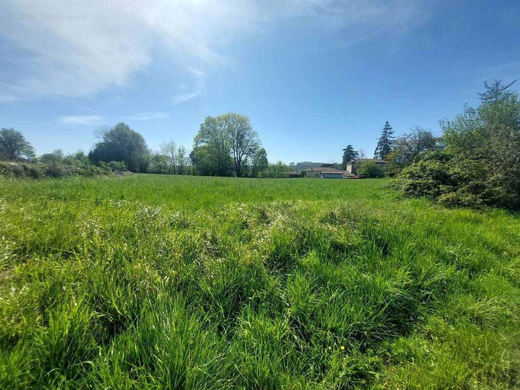20260410114641 - Terrain à AURIGNAC