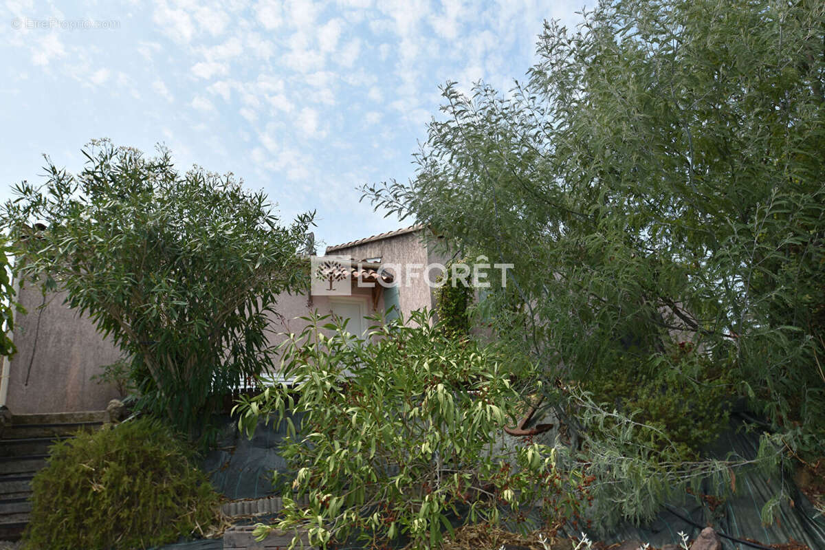 Maison à MONTAUROUX