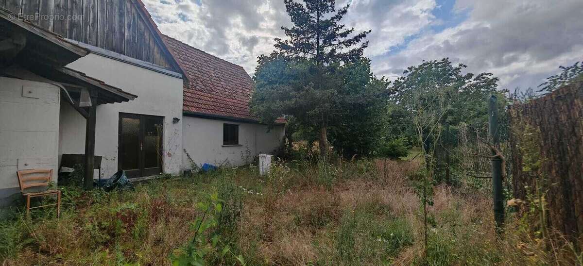 Appartement à SESSENHEIM