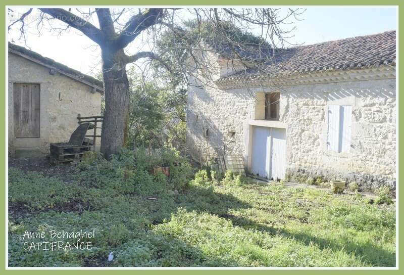 Dpt  (32), à vendre corps de ferme  170 m2- Terrain de 11642m2 - photo 4