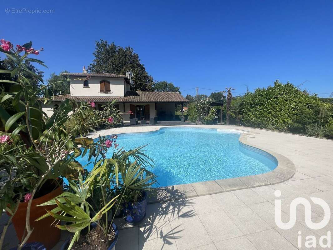 Photo 5 - Maison à AMBARES-ET-LAGRAVE