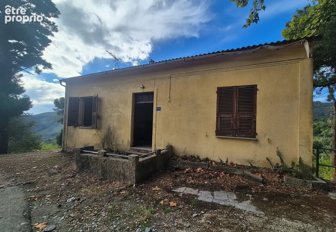 Maison 160m² à olmeta-di-tuda - photo 5