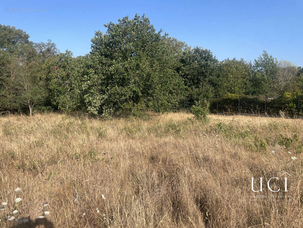 Terrain 881 m² à Corcoue-Sur-Logne  - photo 4