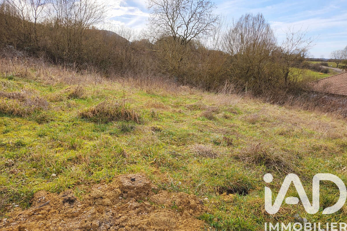 Photo 5 - Terrain à BONNAY