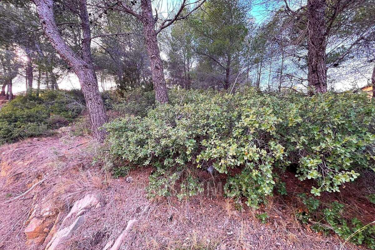 Terrain à ENSUES-LA-REDONNE
