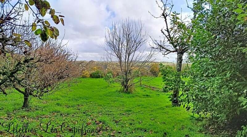 Maison à AZAY-LE-BRULE