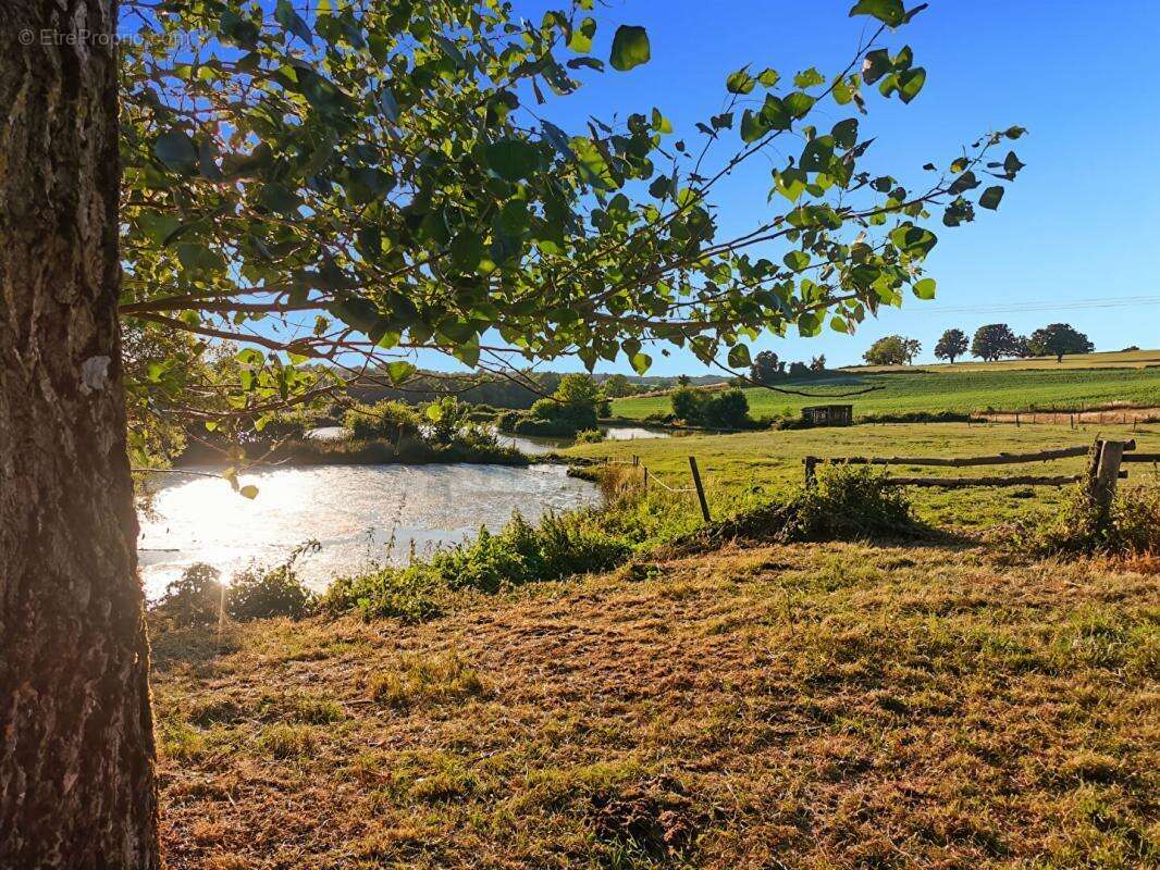 Domaine agricole & équestre de 15 hectares  À proximité de Saint-Amand-Montrond - photo 15