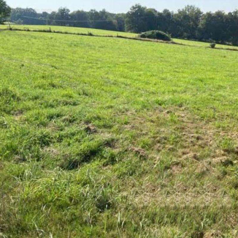 Terrain à SARRAZAC