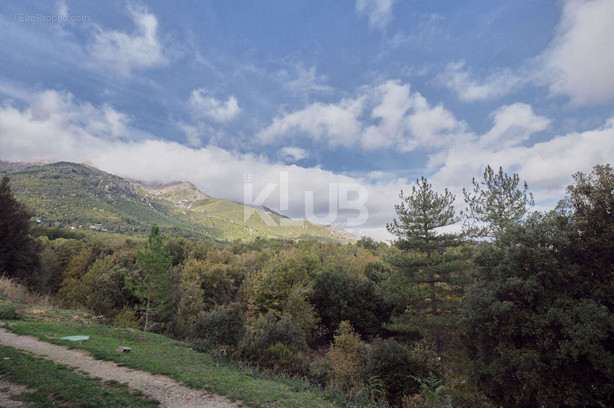 Maison à POGGIO-DI-VENACO