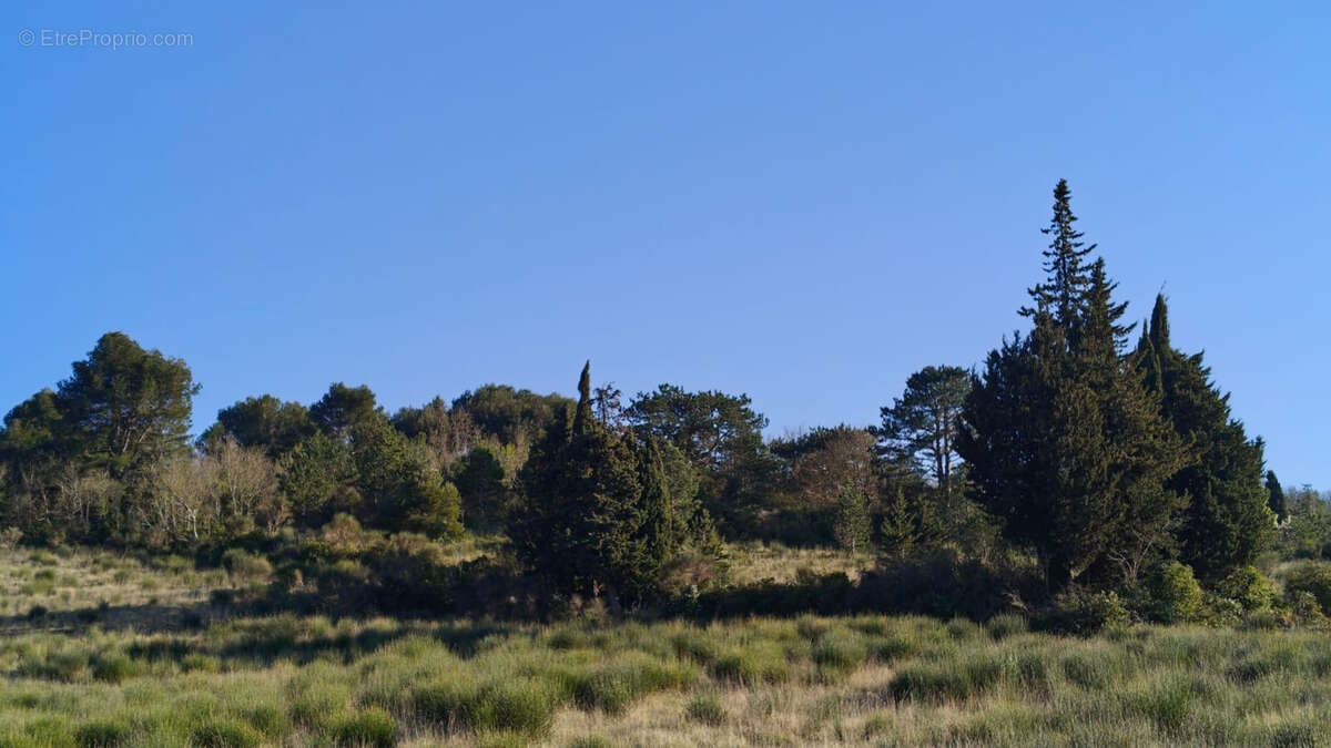 Terrain à LIMOUX