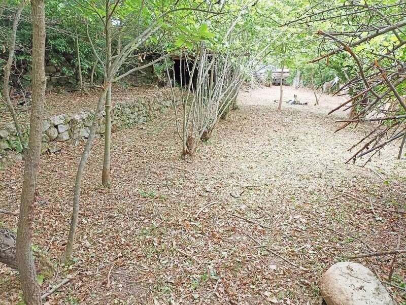 Terrain à CORNEILLA-DE-CONFLENT
