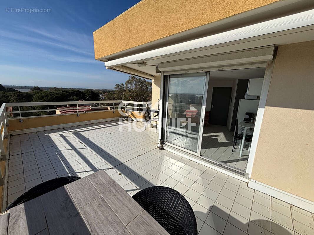 Appartement T2 - Vue Canigou - dernier étage avec terrasse de 30m² - photo 7