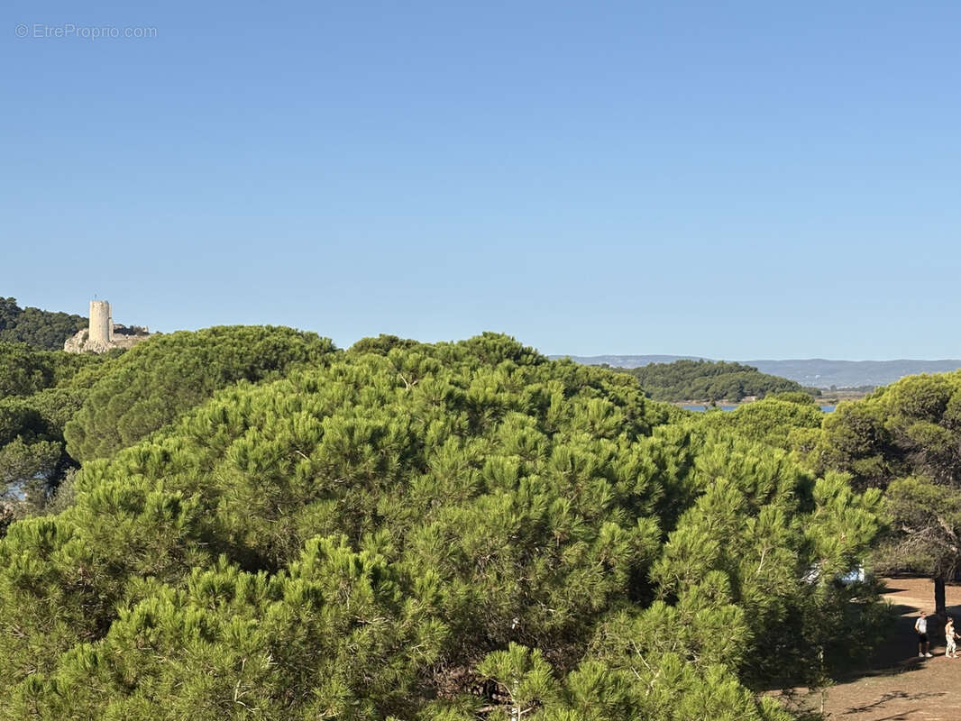 Appartement à GRUISSAN