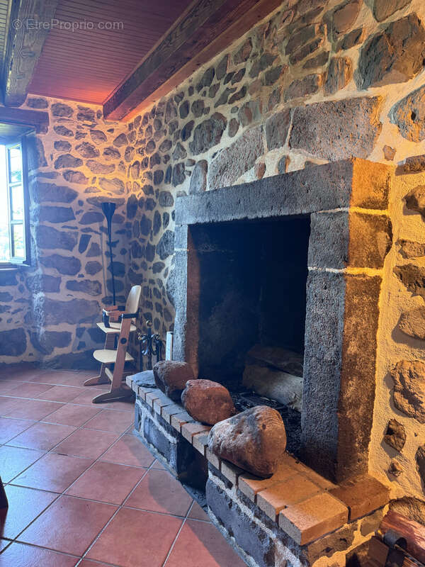Corps de ferme rénové, 1272 m2 de terrain et jolie vue dégagée Secteur Puy Mary - photo 20