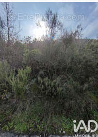 Photo 4 - Terrain à CARAMANY