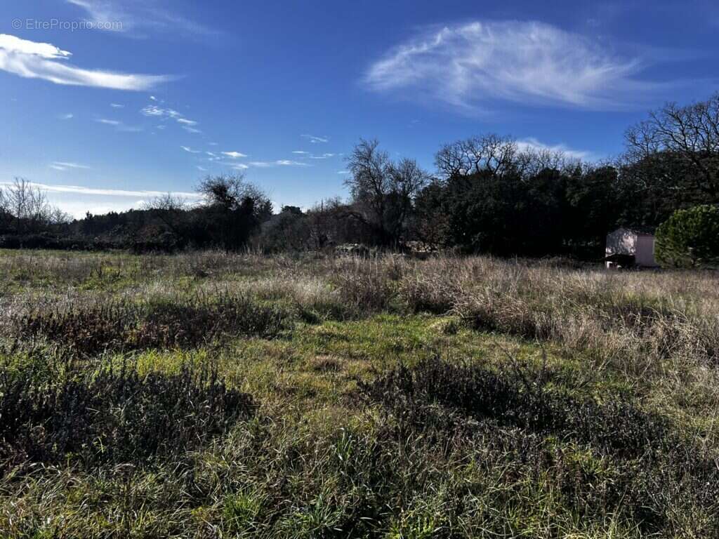 Terrain à BARJAC