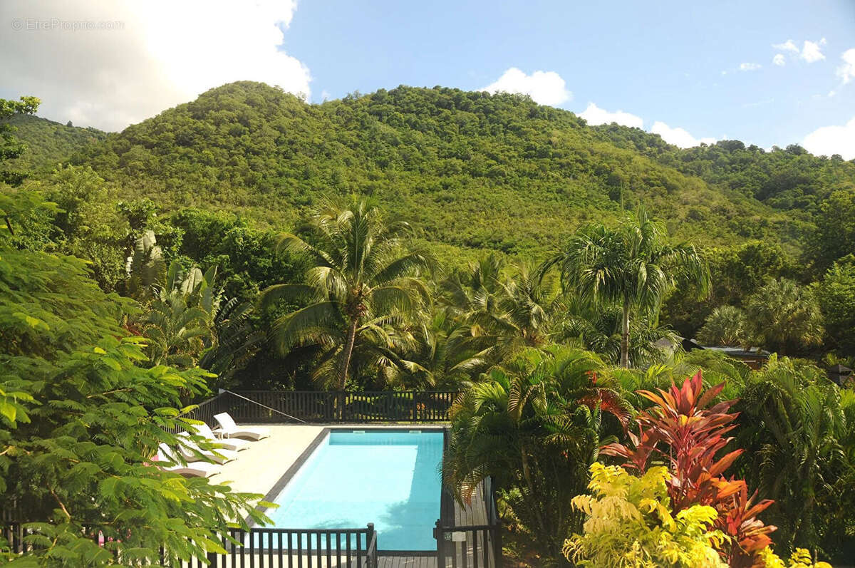 Villa Sud Ouest Martinique - photo 4