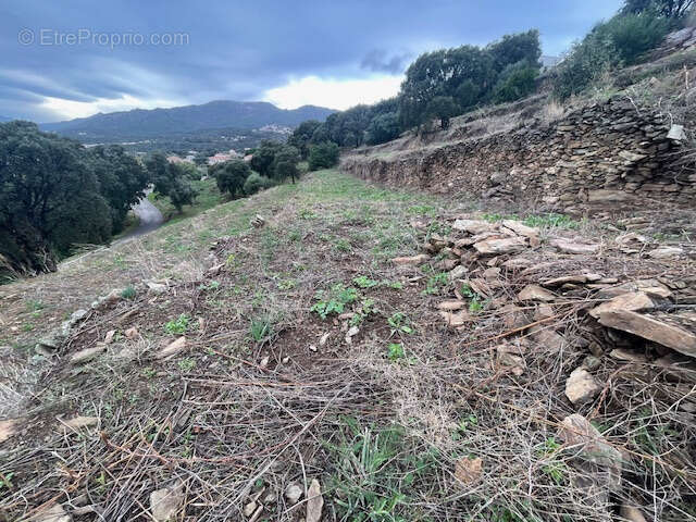 Terrain à BASTIA