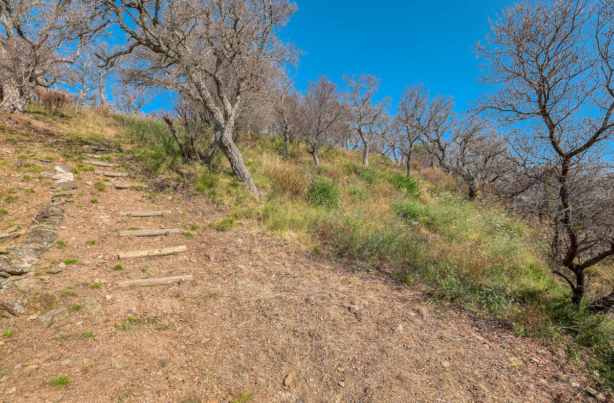 Terrain à BORMES-LES-MIMOSAS