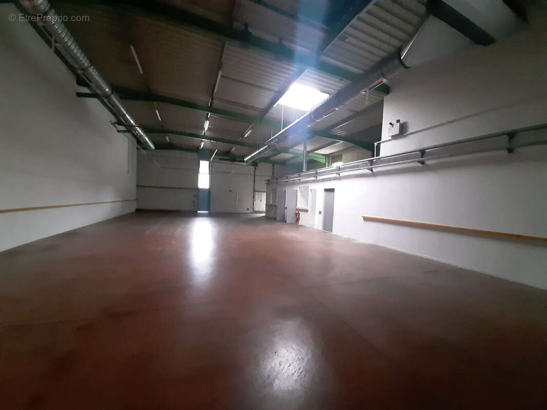 Commerce à SAINT-SAUVEUR-DE-MONTAGUT